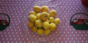 frutas raras de brasil