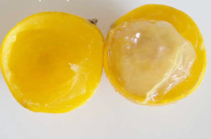 frutas raras de brasil