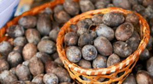 frutas raras de brasil