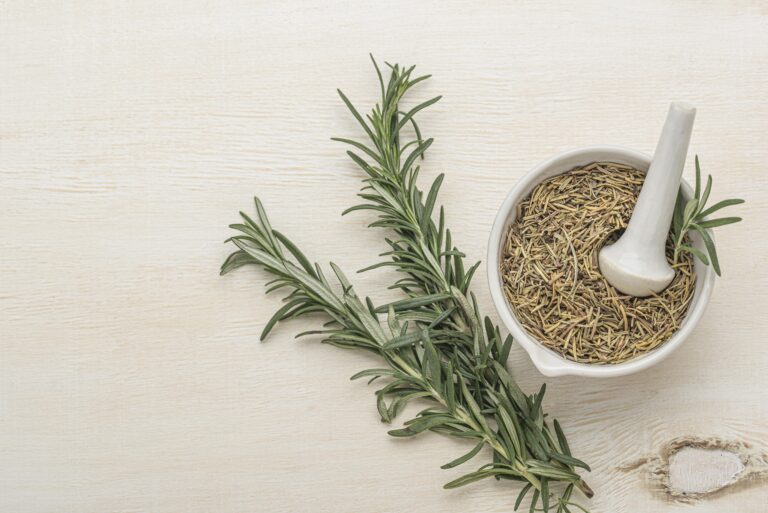 aceite de romero para el pelo